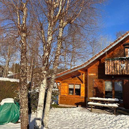 Chalet Chloe - Wifi, Bbq, Parking Xonrupt-Longemer Dış mekan fotoğraf