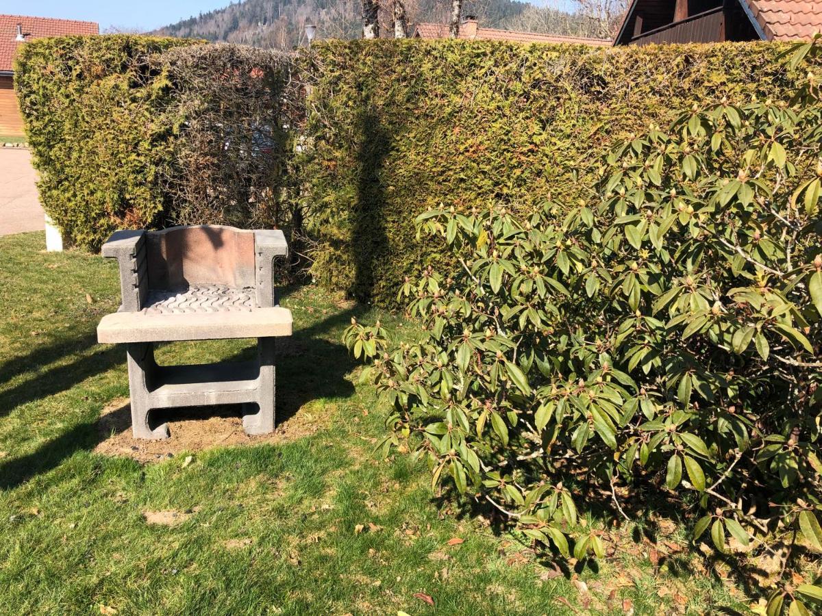 Chalet Chloe - Wifi, Bbq, Parking Xonrupt-Longemer Dış mekan fotoğraf
