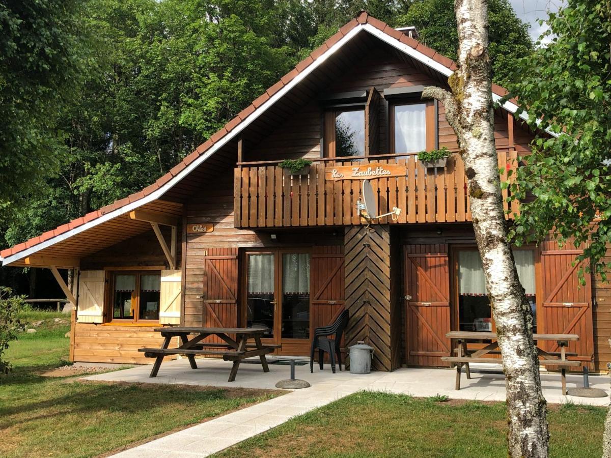 Chalet Chloe - Wifi, Bbq, Parking Xonrupt-Longemer Dış mekan fotoğraf
