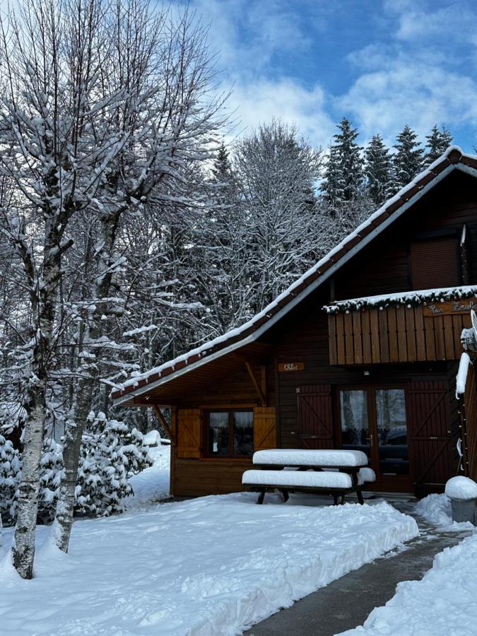 Chalet Chloe - Wifi, Bbq, Parking Xonrupt-Longemer Dış mekan fotoğraf