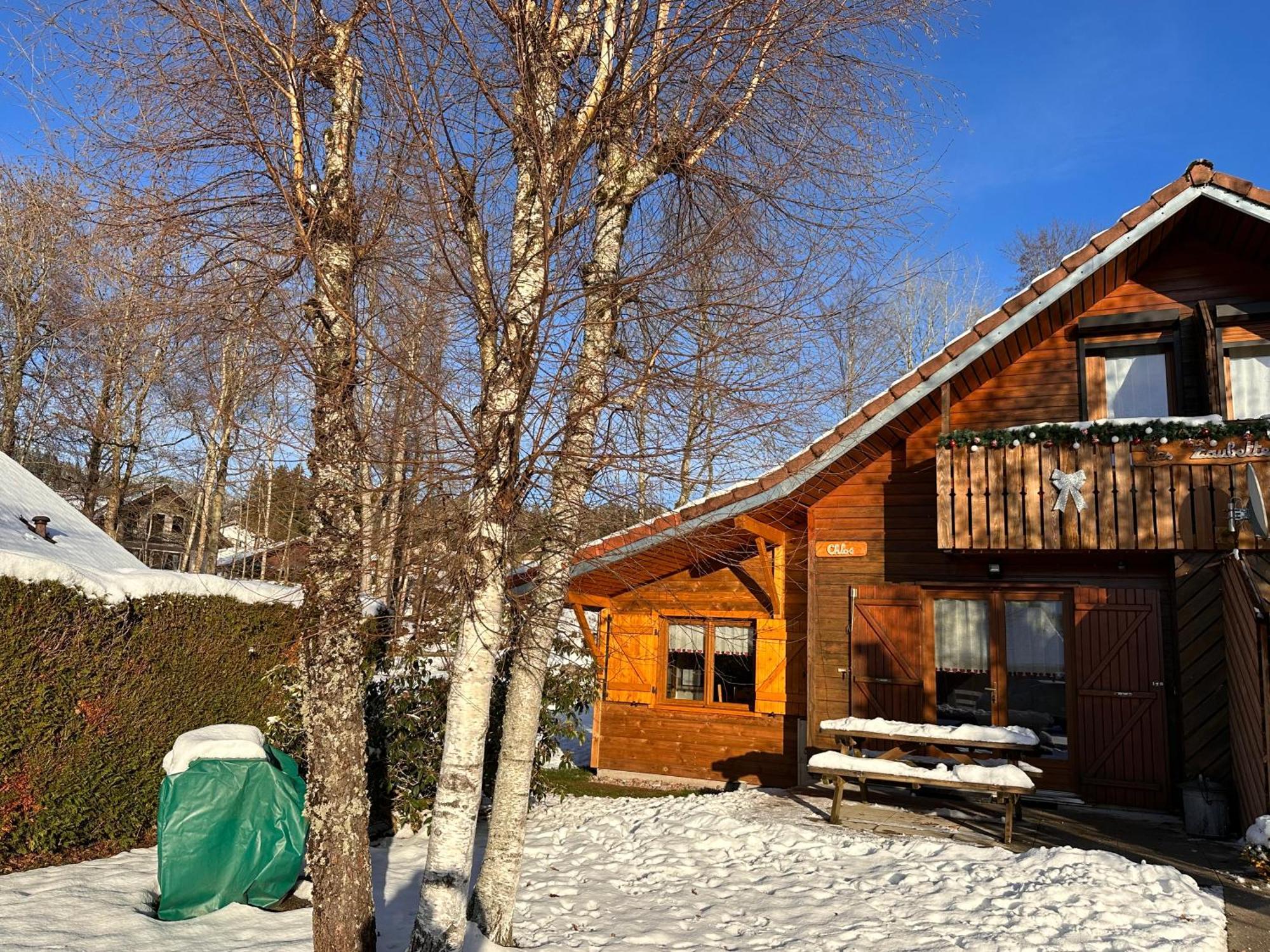 Chalet Chloe - Wifi, Bbq, Parking Xonrupt-Longemer Dış mekan fotoğraf
